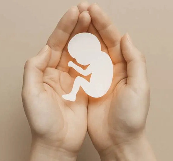 Im Einklang mit Zyklus & Kinderwunsch