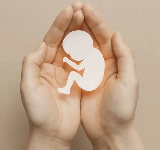 Im Einklang mit Zyklus & Kinderwunsch